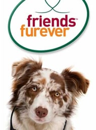 Friends Furever