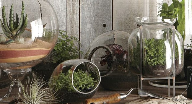 DIY Mini Greenhouse