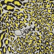 DVF Scarf