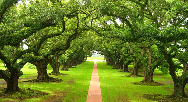 Gorgeous Gardens