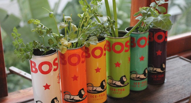 DIY: Tin Can Herb Garden