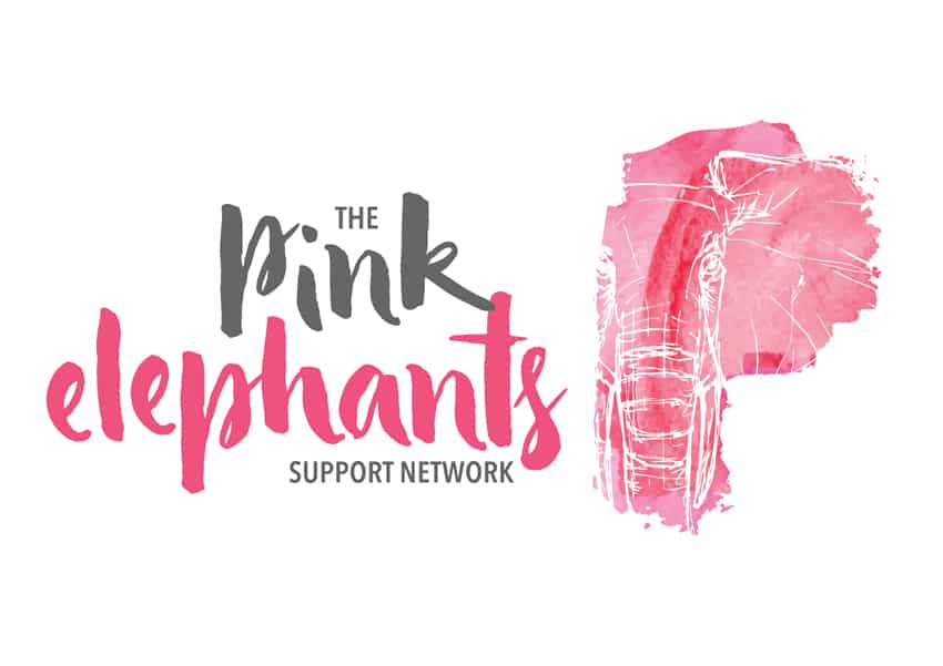 THE PINK ELEPHANT IN THE ROOM