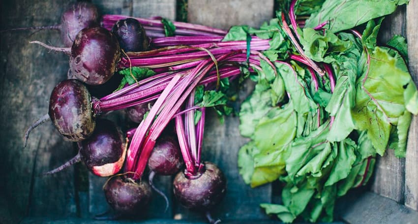 DELICIOUS BEETROOT RECIPES