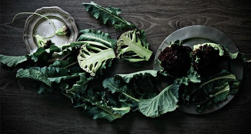 BROCCOLEAF SUPERFOOD RECIPES