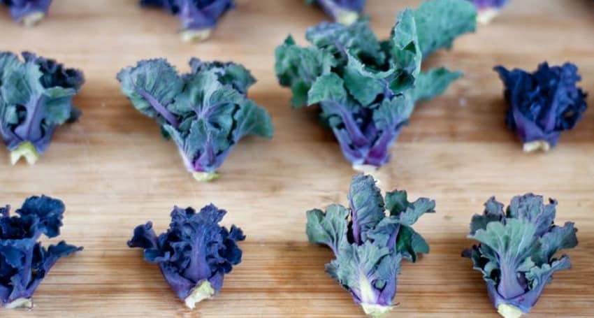 BABY KALE RECIPES: MEET KALETTES