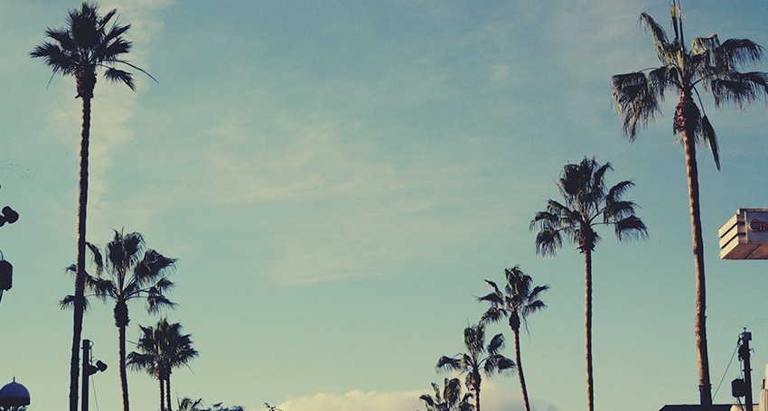 SANTA MONICA SECRETS