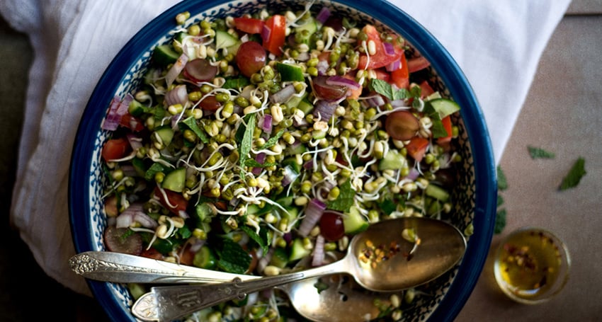 THE SECRET OF SPROUTING