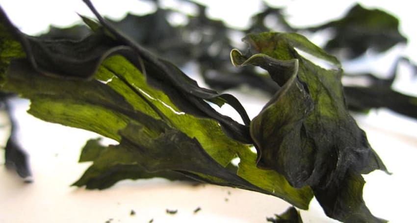 KOMBU SEAWEED SUPERFOOD RECIPES