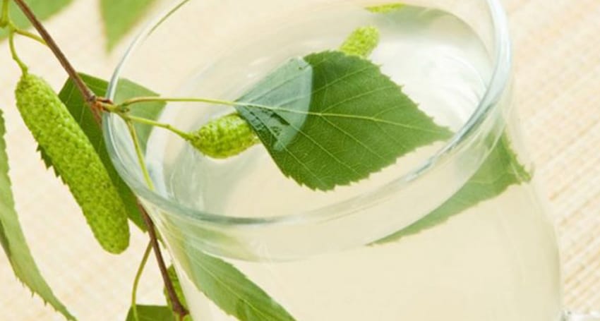 BIRCH WATER BENEFITS