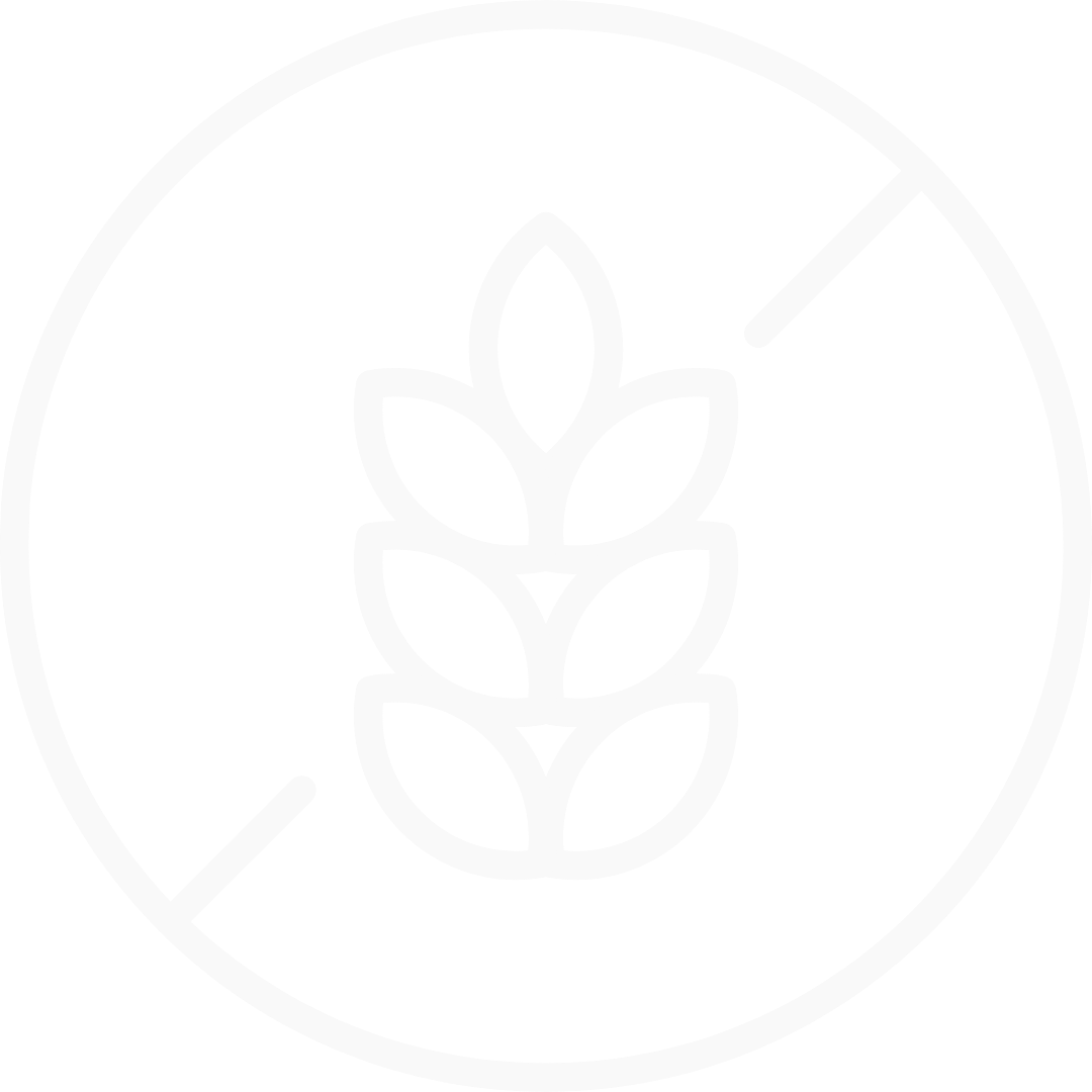 Gluten Free