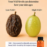 NAD+ Booster: NRC + Resveratrol