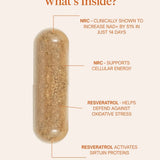 NAD+ Booster: NRC + Resveratrol